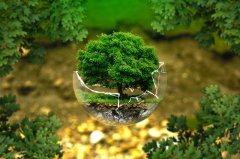 環境空氣VOC監測前景依舊廣闊